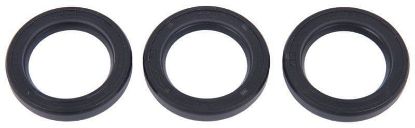 Kit joints d'huile de piston Ø18 pour pompe INTERPUMP - KIT 23