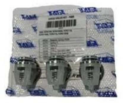 Kit 3 clapets et joints FPM pour pompe CAT 1050 7CP 650+