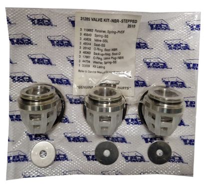 Kit 3 clapets et joints pour pompe CAT 2510