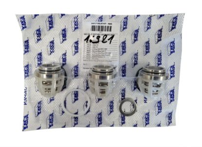 Kit 3 clapets et joints pour pompe CAT 35-38-68