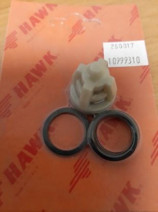 Kit 1 clapet pompe HAWK PX