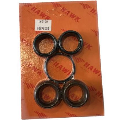 Kit joints de piston Ø22 pour pompe HAWK LT