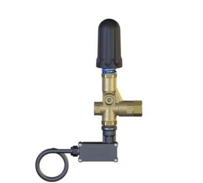 By-pass PULSAR 3 310 Bar 40 l/min F3/8 F3/8 + pressostat