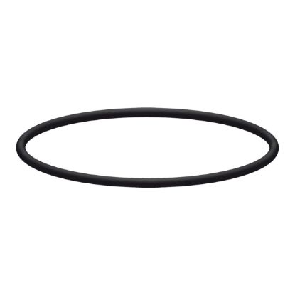 Joint torique pour corps de filtre PVC bleu 5" 9"