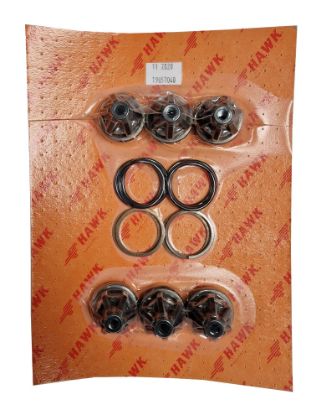 Kit 6 clapets et joints pour pompe HAWK HFR