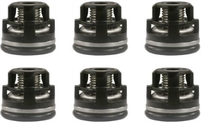 Kit 6 clapets et joints pour pompe ANNOVI RK