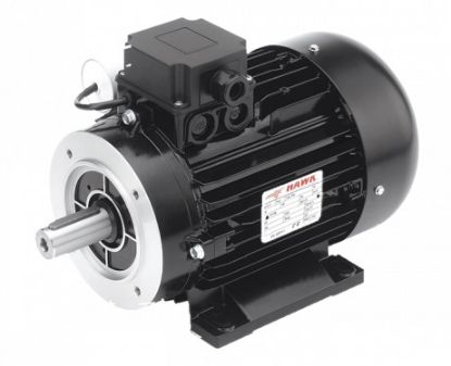 Moteur électrique triphasé 3 kW HA100 4P B34 pour pompe HAWK NMT NHPD