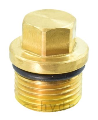 Bouchon de culasse pour nettoyeur KRANZLE XA15-17 TST