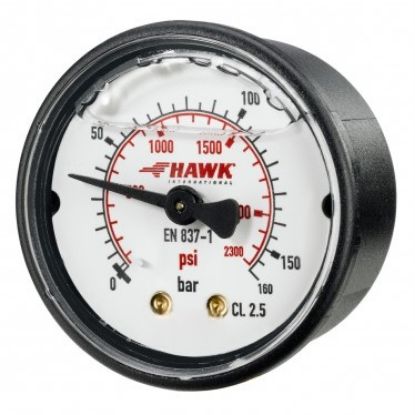 Manomètre liquide axial 0-160 Bar Ø50 MNPT1/4 - HAWK