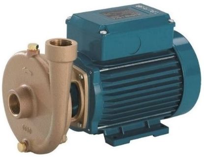Pompe à eau de surface centrifuge bronze 4.8 m3/h 230V CALPEDA BCM 20