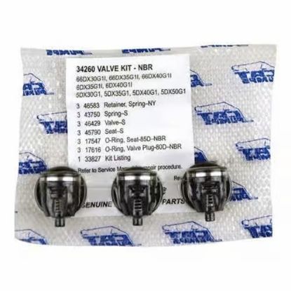 Kit 3 clapets et joints NBR pour pompe CAT 5DX 6DX 66DX